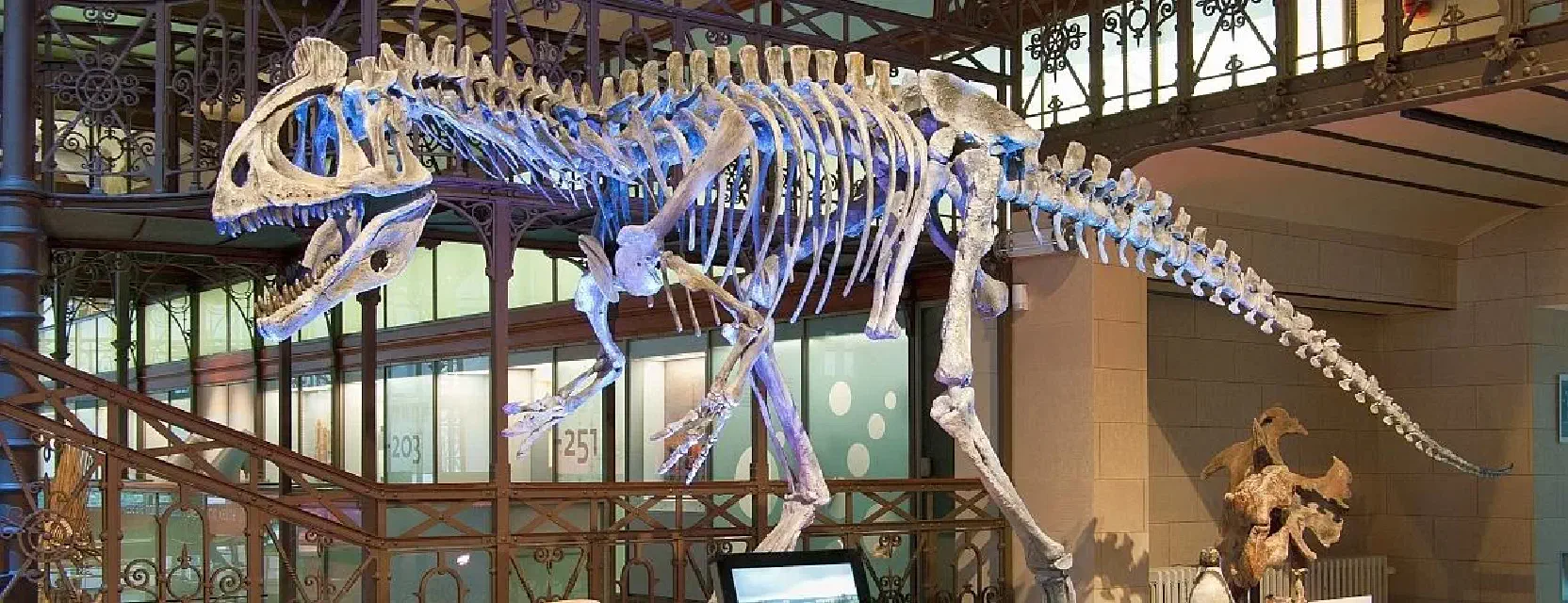 dino