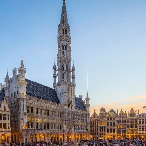 24th World Veterinary Poultry Association Congress